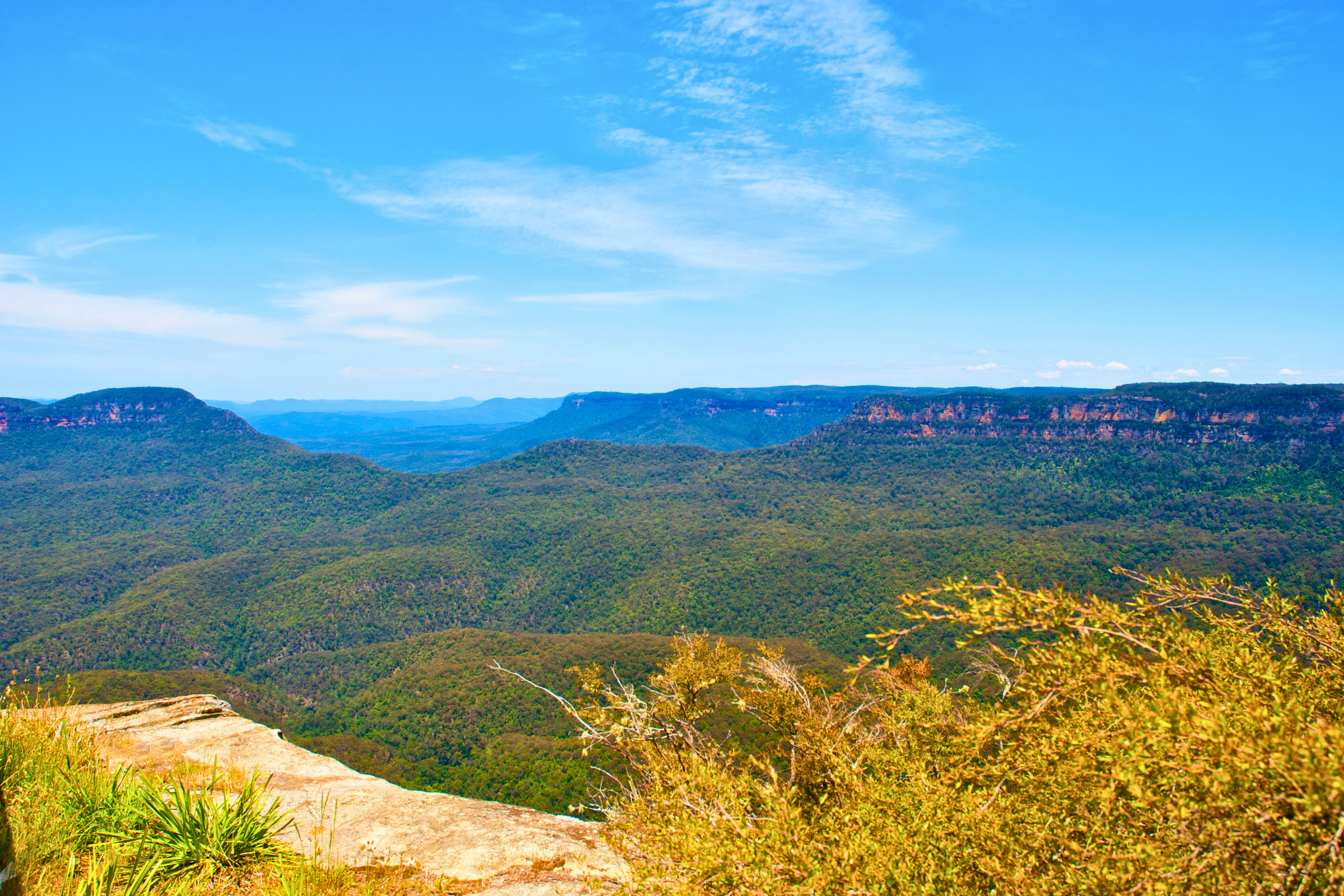 blue mountains national park (4).webp